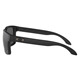 Holbrook Prizm Black Polarized - Adult Sunglasses - 1