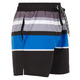 Beach Short Stripe - Short de plage pour homme - 1