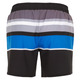 Beach Short Stripe - Men's Board Shorts - 2