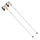 Stella S WS - Women's Alpine Ski Poles - 0