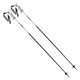 Bliss WS - Women's Alpine Ski Poles - 0