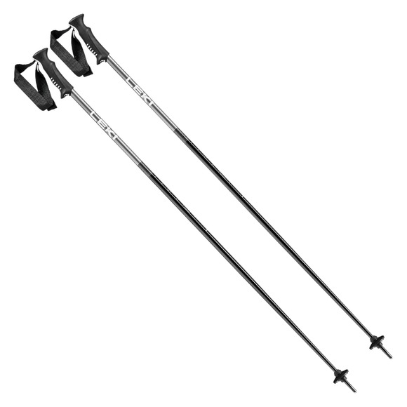 Primacy - Men's Alpine Ski Poles