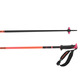 Polar Pro S3 - Men's Alpine Ski Poles - 1