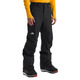 Freedom - Men's Insulated Pants - 1