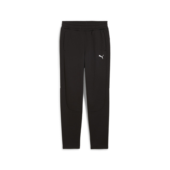 Evostripe Winterized - Women's Fleece Pants