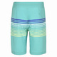 Vacay Cali - Boys' Board Shorts - 1