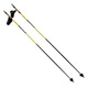 Vision 6.0 - Adult Cross-Country Ski Poles - 0