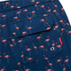 Flamingo Flair 6.5" - Men's Swim Shorts - 2