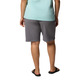 All Seasons Long (Plus Size) - Women's Shorts - 1