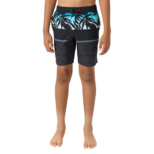 Hermosa EW 16 - Boys' Boardshorts