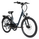 FZ2 - Adult Electric-Assist Bike - 4