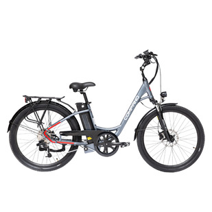 FZ1 - Adult Electric-Assist Bike