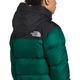 1996 Retro Nuptse - Women's Down Insulated Jacket - 2