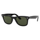 Classic  Wayfarer - Adult Sunglasses - 0