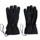 Brazeau 2.0 - Women's Insulated Gloves - 0