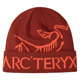 Bird Word - Adult Beanie - 0