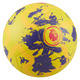 Premier League Pitch - Soccer Ball - 1