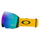 Flight Deck L Prizm Snow Argon Iridium - Adult Winter Sports Goggles - 1