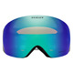 Flight Deck L Prizm Snow Argon Iridium - Lunettes de sports d'hiver pour adulte - 1