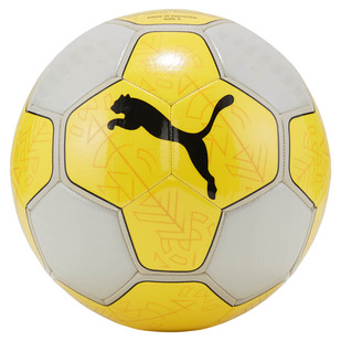 Prestige - Ballon de soccer