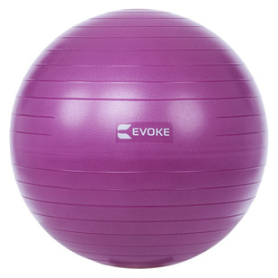 HS1005180 (45 cm) - Exercise Ball
