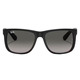 Justin - Adult Sunglasses - 1