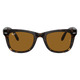 Folding Wayfarer - Adult Sunglasses - 1