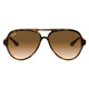 Cats 5000 - Adult Sunglasses - 3