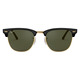 Clubmaster - Adult Sunglasses - 3