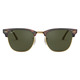 Clubmaster - Adult Sunglasses - 3