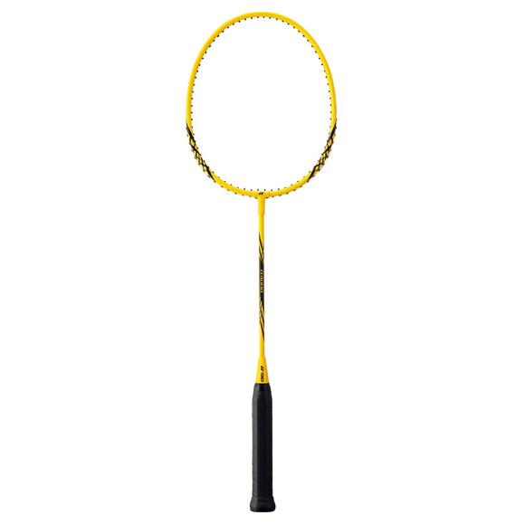 B-4000 - Raquette de badminton pour adulte