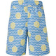 Terrance - Boys' Board Shorts - 1