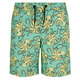 Terrance - Boys' Board Shorts - 0