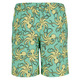 Terrance - Boys' Board Shorts - 1