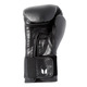 Training (12 oz.) - Adult Pre-Curved Boxing Gloves - 2