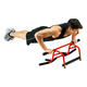 Elevated Chin Up Station - Multifunction Bar - 1