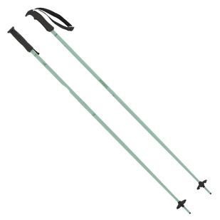 AMT Cloud - Women's Alpine Ski Poles