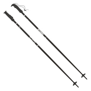 AMT - Men's Alpine Ski Poles