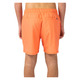 Daily Volley - Men's Board Shorts - 2