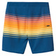 Hyperfreak Heat Stripe Line 16 Jr - Boys' Board Shorts - 1