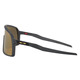 Sutro Prizm 24K - Adult Sunglasses - 1