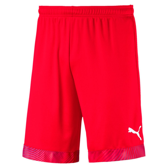 puma mens soccer shorts