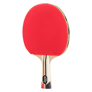 Blaze - Table Tennis Paddle