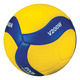 V200W - Volleyball - 0