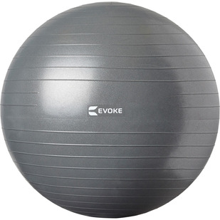 HS1004664 (65 cm) - Exercise Ball