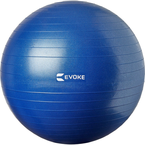 HS1004663 (55 cm) - Ballon d'exercices