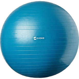 HS1004665 (75 cm) - Ballon d'exercices