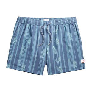 Tropic Stripe - Men's Board Shorts