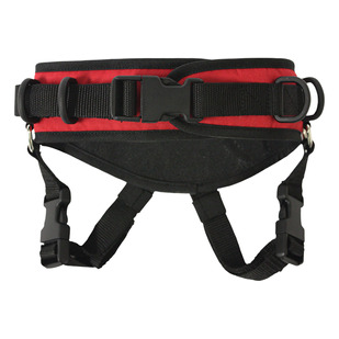 Ultimate Ski Harness - Ski Training Aid for Young Beginner