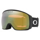 Flight Tracker L Prizm Snow Sage Gold Iridium - Adult Winter Sports Goggles - 0